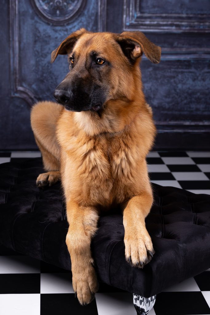 Rosko Blue Rosko Blue